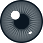 Grey Coloured Contact Lenses