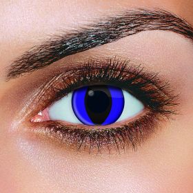 Blue Cat Eye Accessories (Pair)