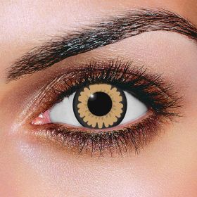 Big Eye Sexy Brown Contact Lenses (Pair)